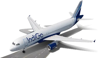 indigo Logo