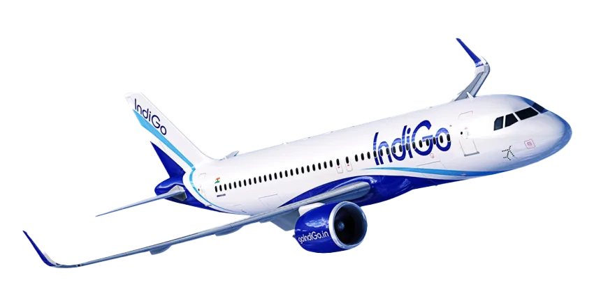 indigo Logo